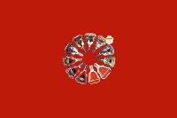 淄博高青回收红酒